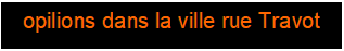Zone de Texte: opilions dans la ville rue Travot